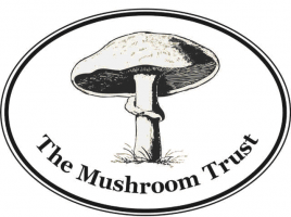 The Mushroom Trust